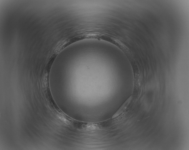 X0000052930475200507151621