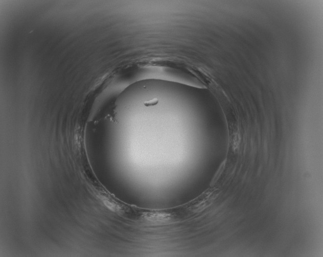 X0000052930476200507151621