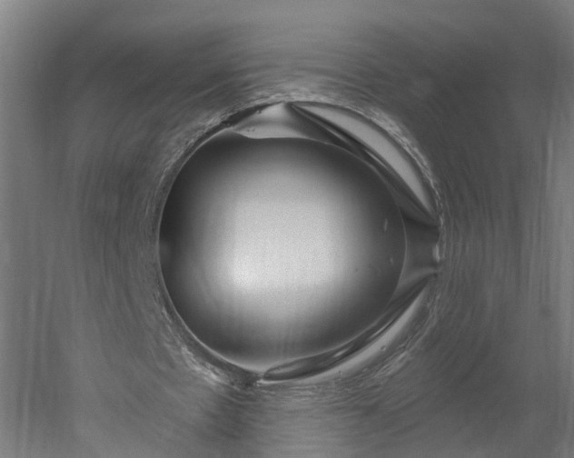 X0000052930481200507151621