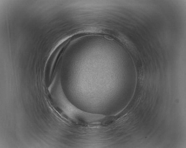 X0000052930484200507151621