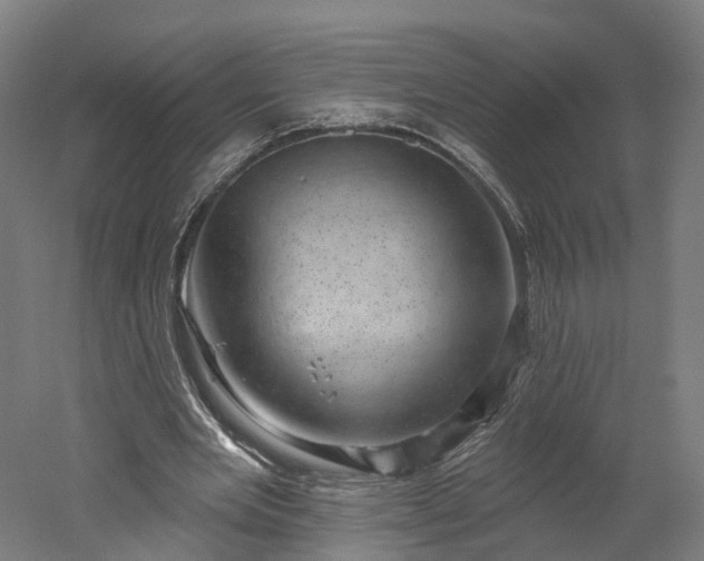 X0000052930485200507151621