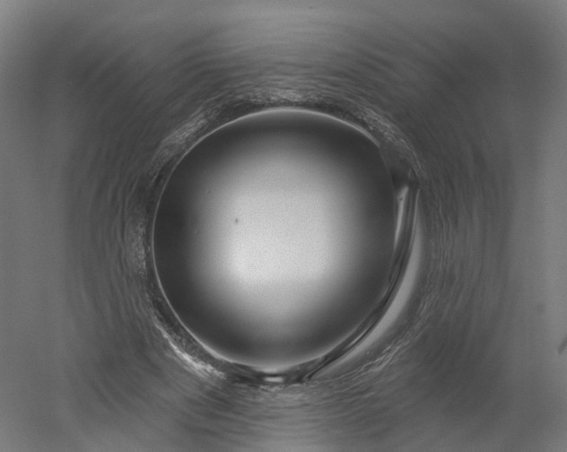 X0000052930489200507151621