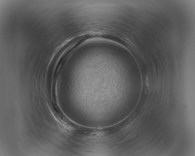 X0000052930492200507151621
