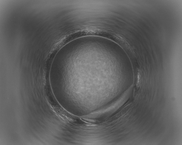 X0000052930496200507151620