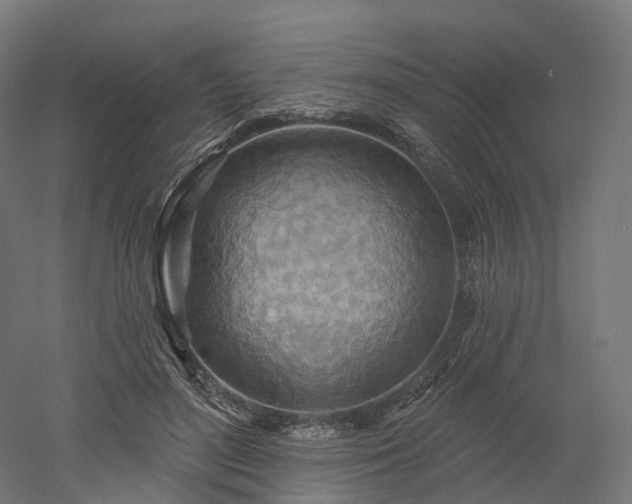 X0000052930500200507151620