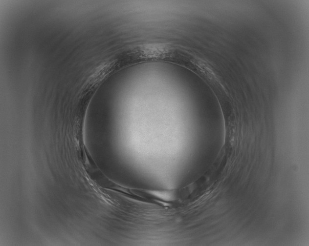 X0000052930505200507151620