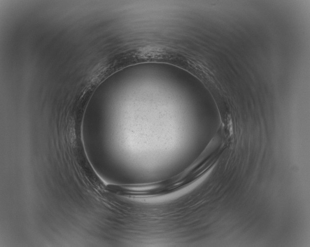 X0000052930508200507151620