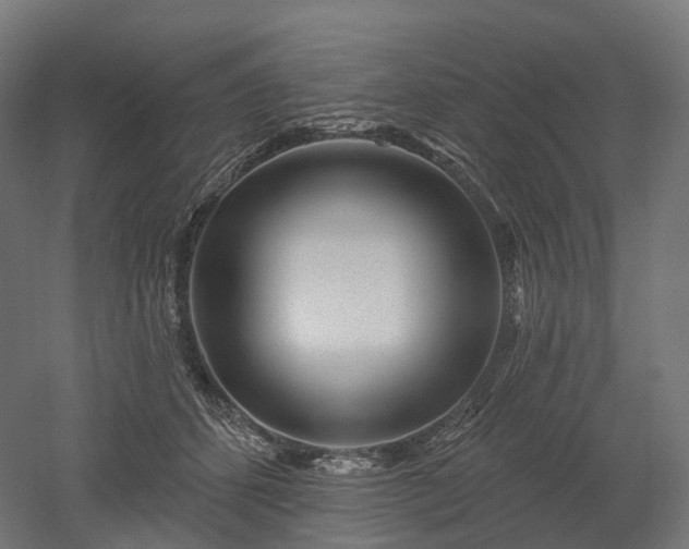X0000052930512200507151620