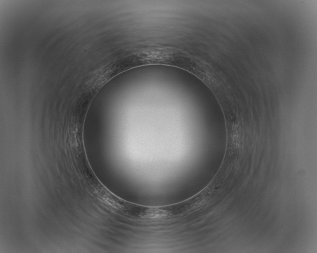 X0000052930514200507151620