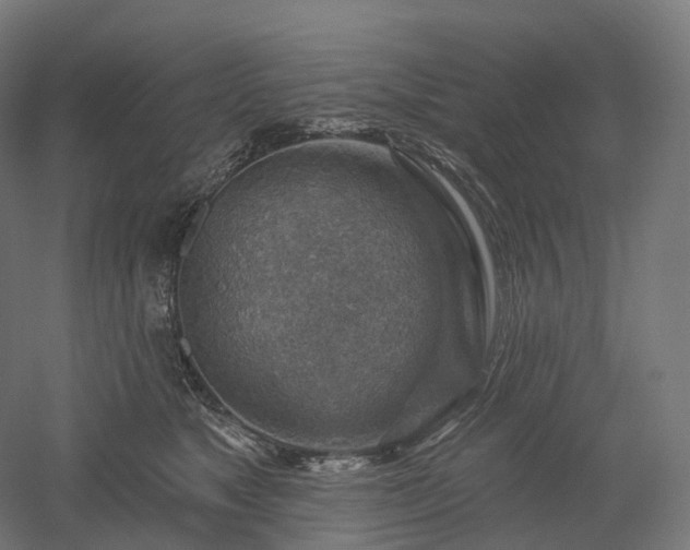 X0000052930517200507151620