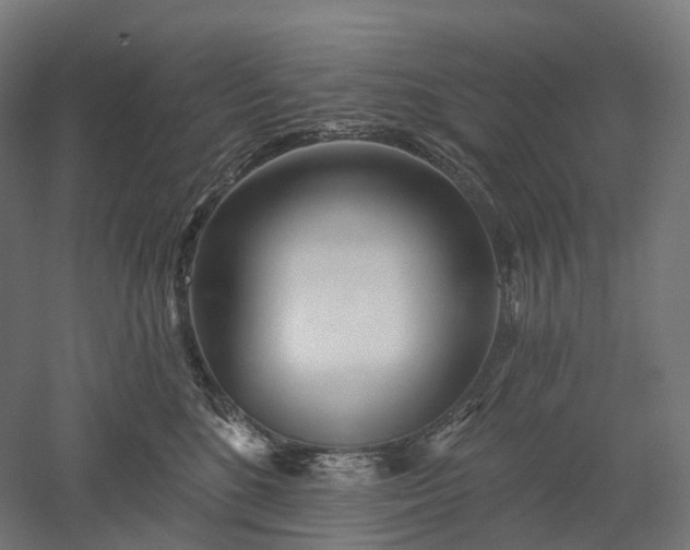 X0000052930520200507151620
