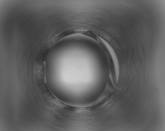 X0000052930521200507151620
