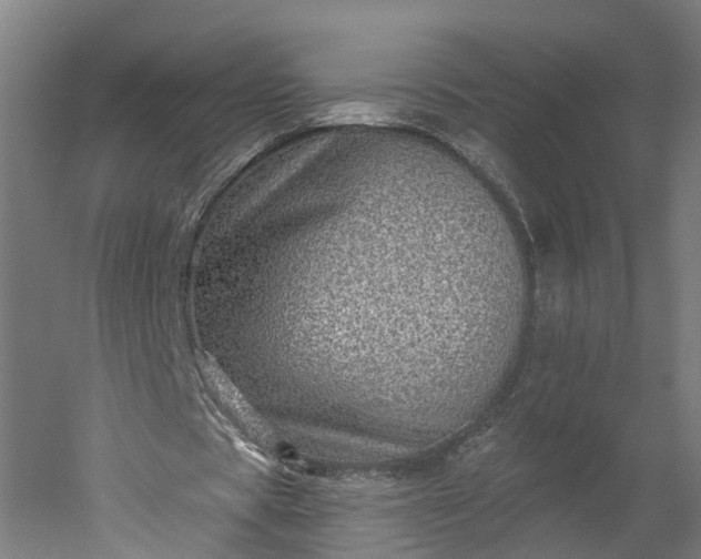 X0000052930529200507151619