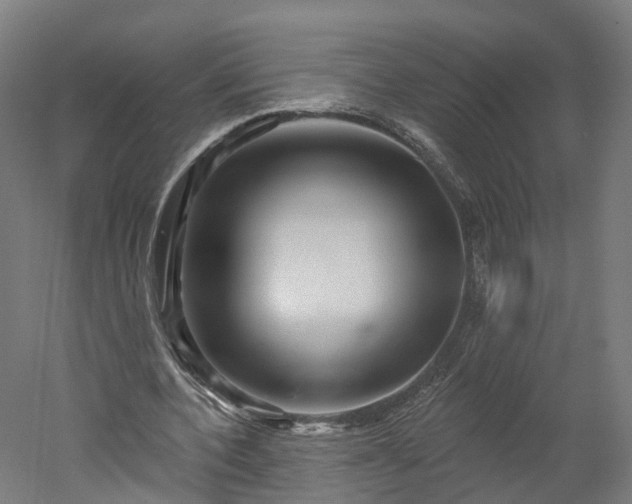 X0000052930532200507151619