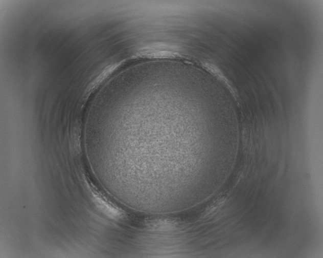 X0000052930533200507151619