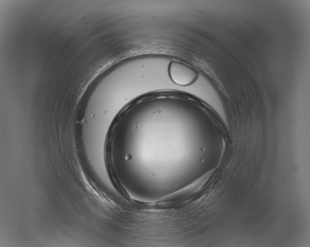 X0000052930534200507151619