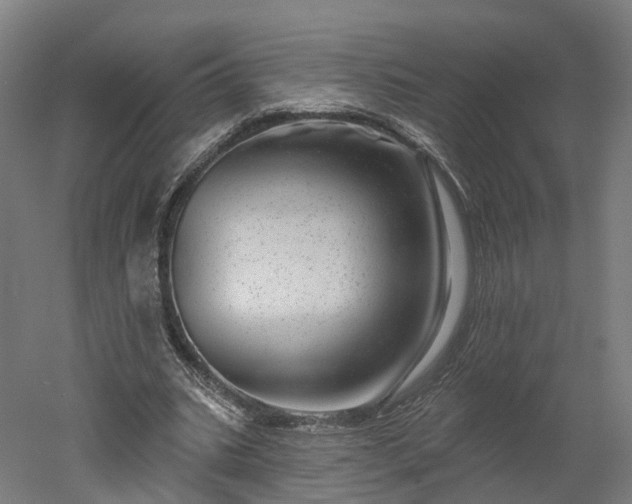 X0000052930535200507151619