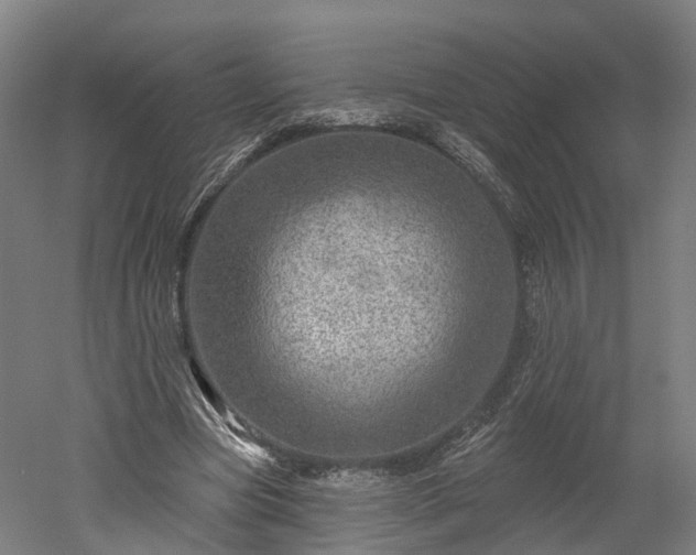 X0000052930537200507151619