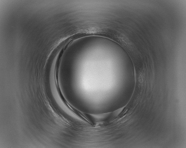 X0000052930540200507151619