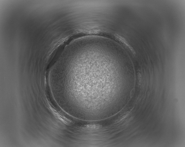 X0000052930541200507151619