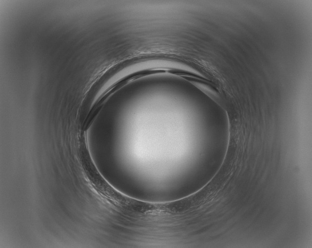 X0000052930544200507151619