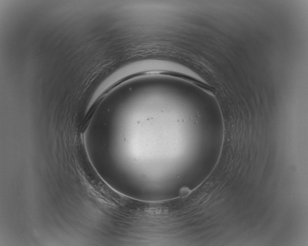 X0000052930546200507151619