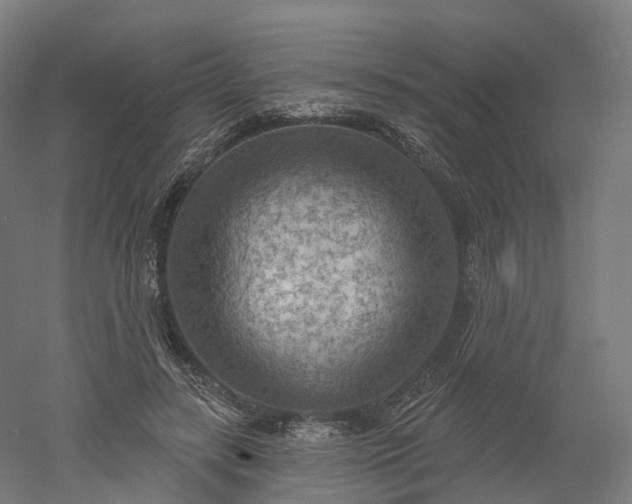 X0000052930547200507151619