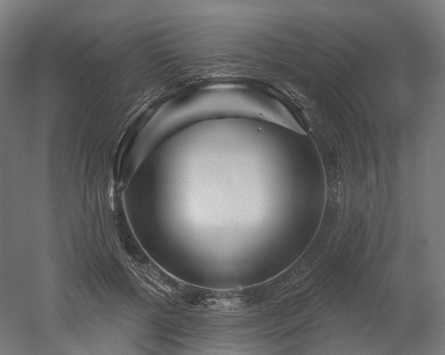 X0000052930552200507151619