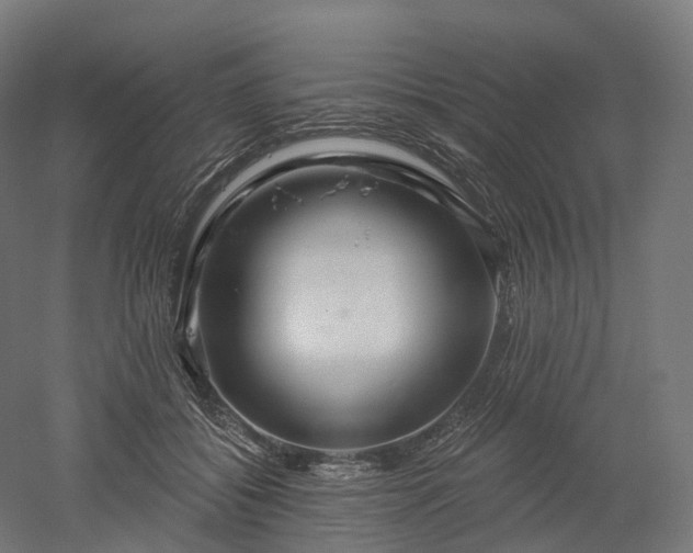 X0000052930556200507151620