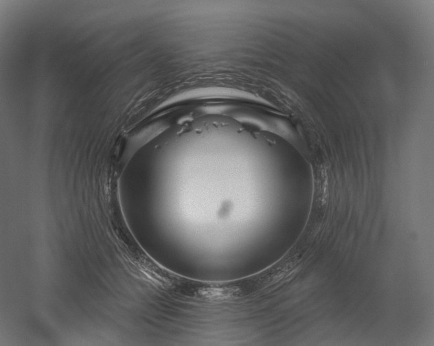 X0000052930558200507151620
