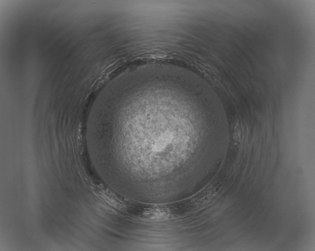 X0000052930559200507151620
