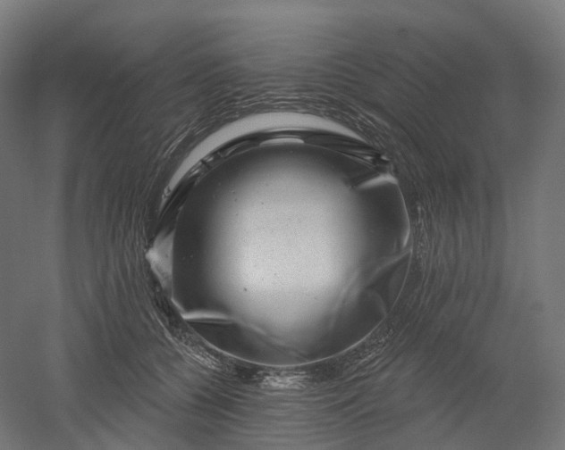 X0000052930560200507151620