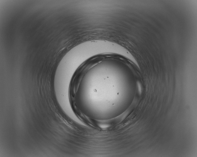 X0000052930568200507151620