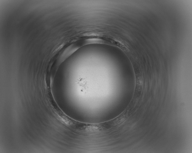X0000052930572200507151620