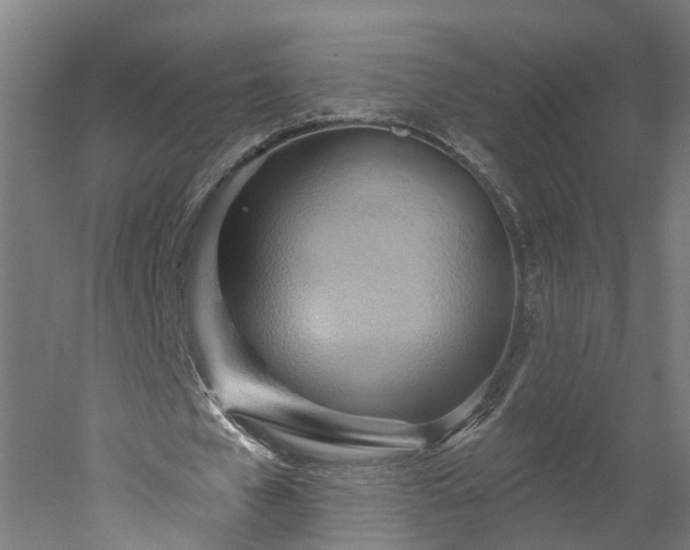 X0000052930577200507151619