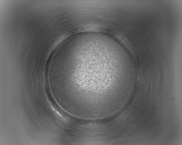 X0000052930578200507151619