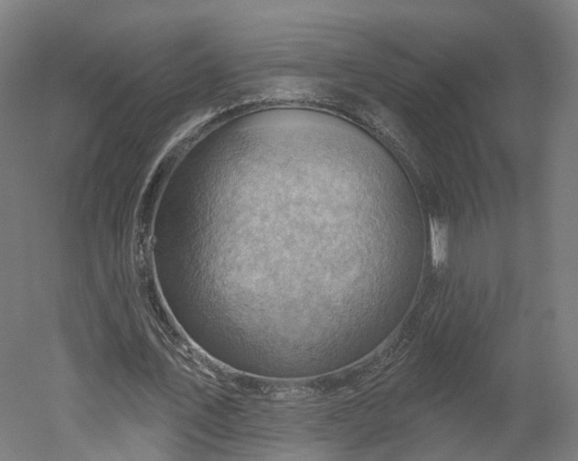 X0000052930579200507151619