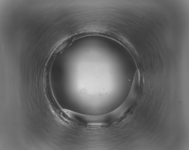 X0000052930580200507151619