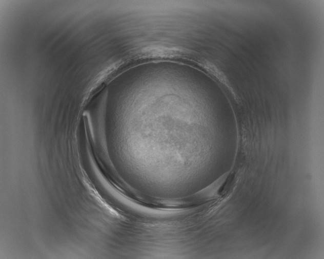 X0000052930581200507151619
