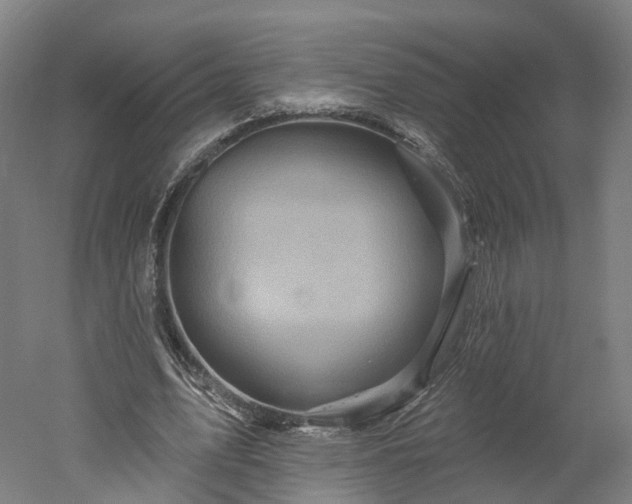 X0000052930583200507151619