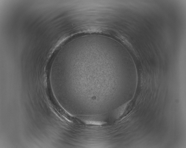 X0000052930584200507151619