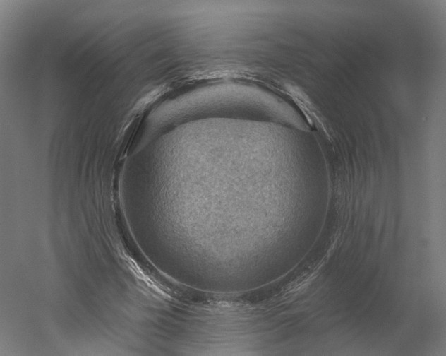 X0000052930585200507151619