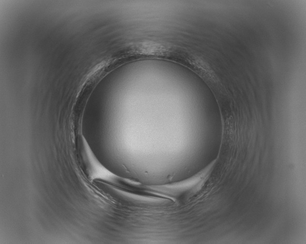 X0000052930587200507151619