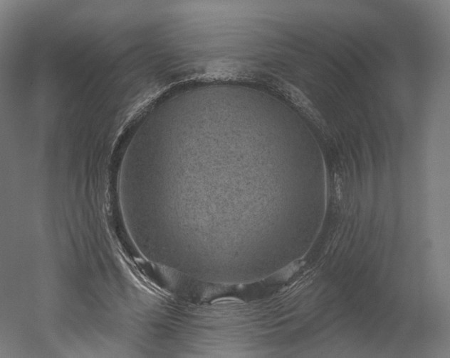 X0000052930588200507151619