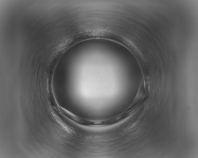 X0000052930589200507151619