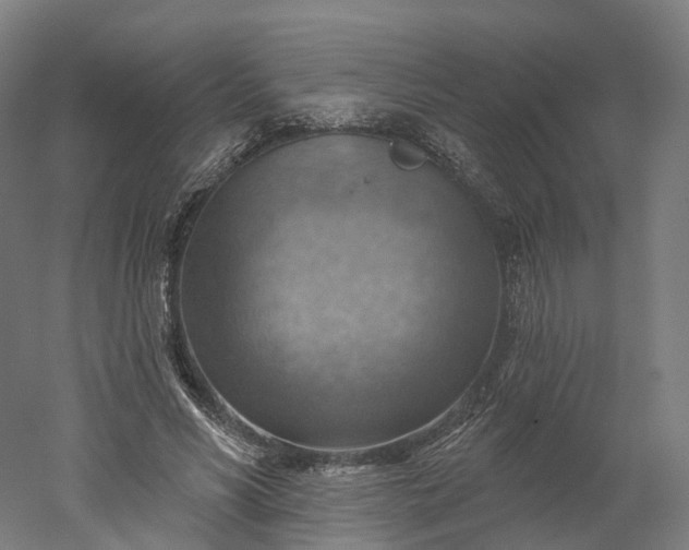 X0000052930590200507151619