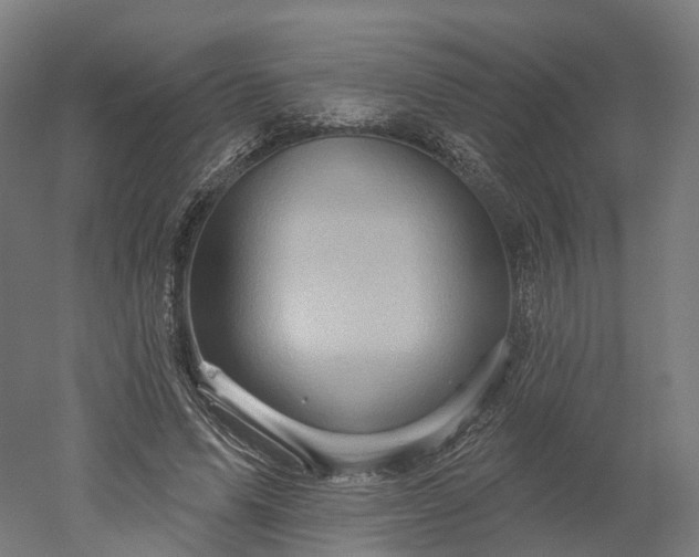 X0000052930591200507151619