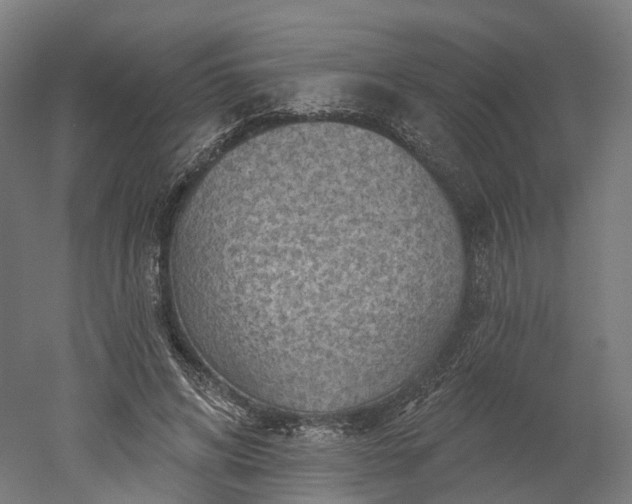 X0000052930592200507151619