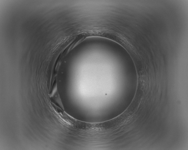X0000052930593200507151619