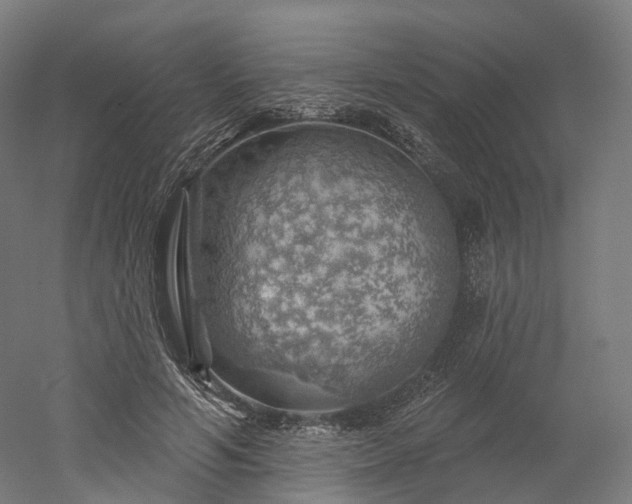 X0000052930594200507151619